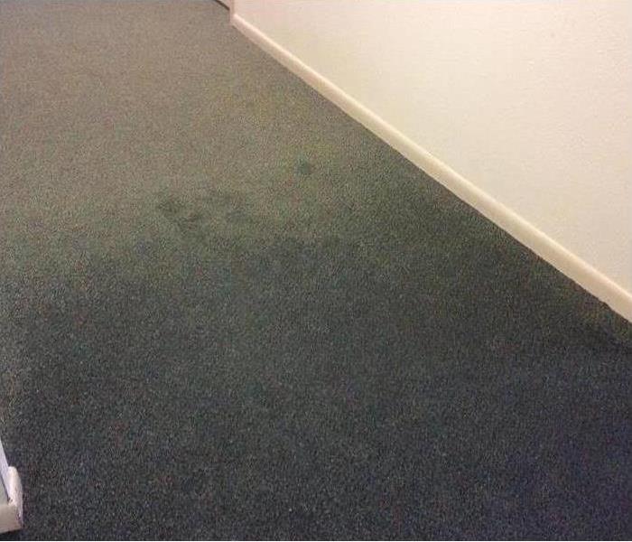 wet hall carpet