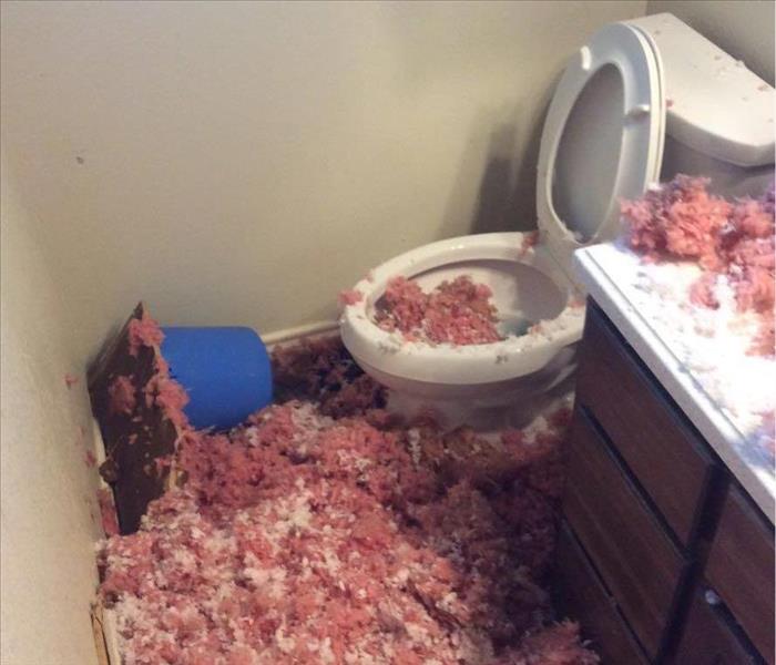 bathroom toilet, pink insulation