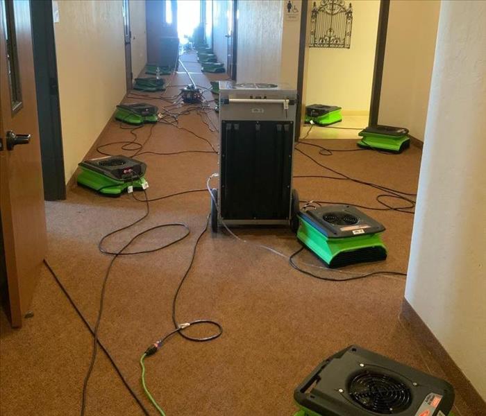 carpet hallway with green fans