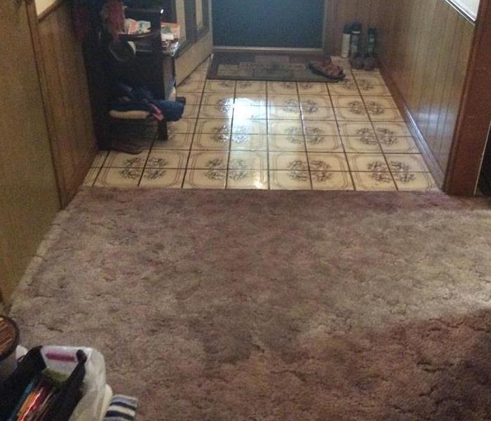 Wet carpet and vinyl floor